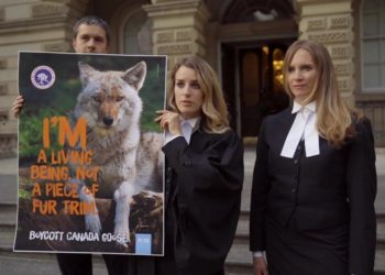 15th Annual Hamptons Doc Fest Film Lineup