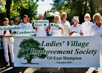 Discover LVIS: Improving Society & Style