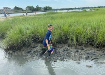 Rewilding in a Nature Deficient World