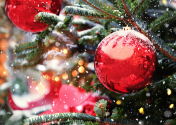 Top Hamptons Events This Weekend – December 16th, 2022