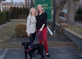 Wintertime Happenings at the Southampton Animal Shelter