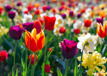 Sixty-Something: The East End Inspires Imagination