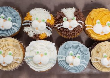 Spay-ghetti Success at the Southampton Animal Shelter