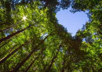 Celebrate Earth Day in The Hamptons