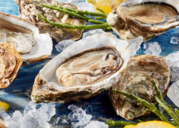 All About East End Oysters