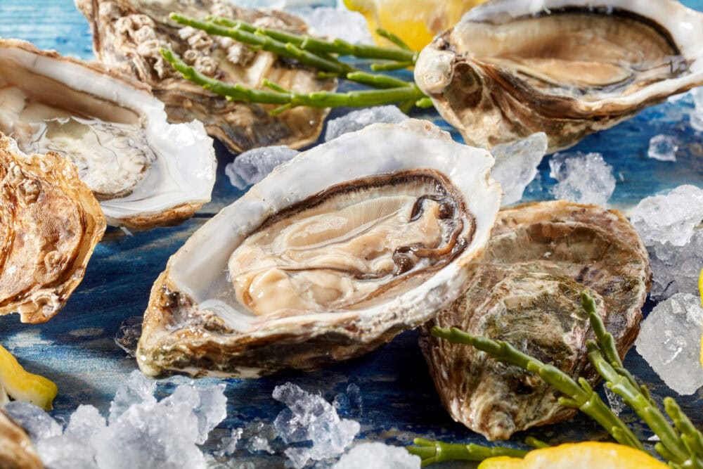 All About East End Oysters