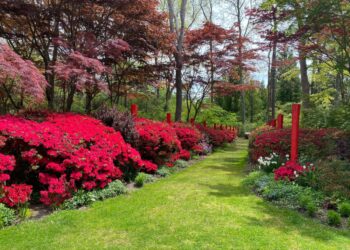 Plein Air Painting, Summer Workshop at LongHouse Reserve
