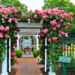 Southampton Village Rose Day and Rose Show 2023