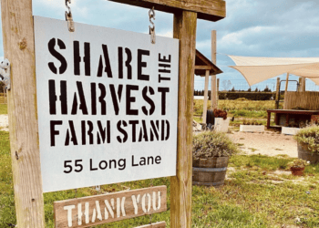 Share The Harvest, Making Local Produce a Reality