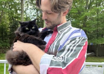 Why My Cat and I LOVE Dragon Hemp Apothecary’s Balance CBD