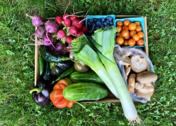 A Private Chef’s Guide to the Hamptons’ Best Farmstands