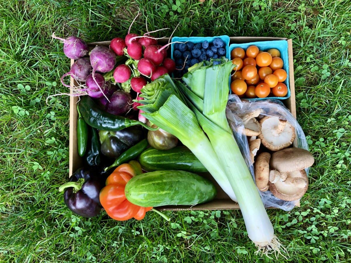 A Private Chef’s Guide to the Hamptons’ Best Farmstands