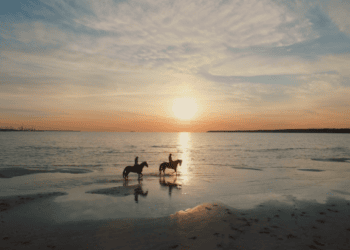 Top Hamptons Events This Weekend – July 7th, 2023