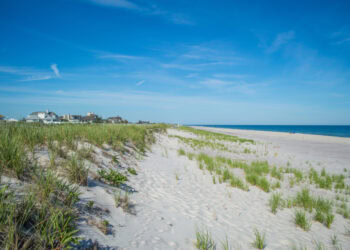 Sixty-Something: “Something Will Happen”