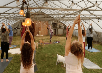 Goat Yoga Arrives in The Hamptons