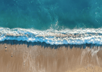 Top Hamptons Events This Weekend – August 18th, 2023