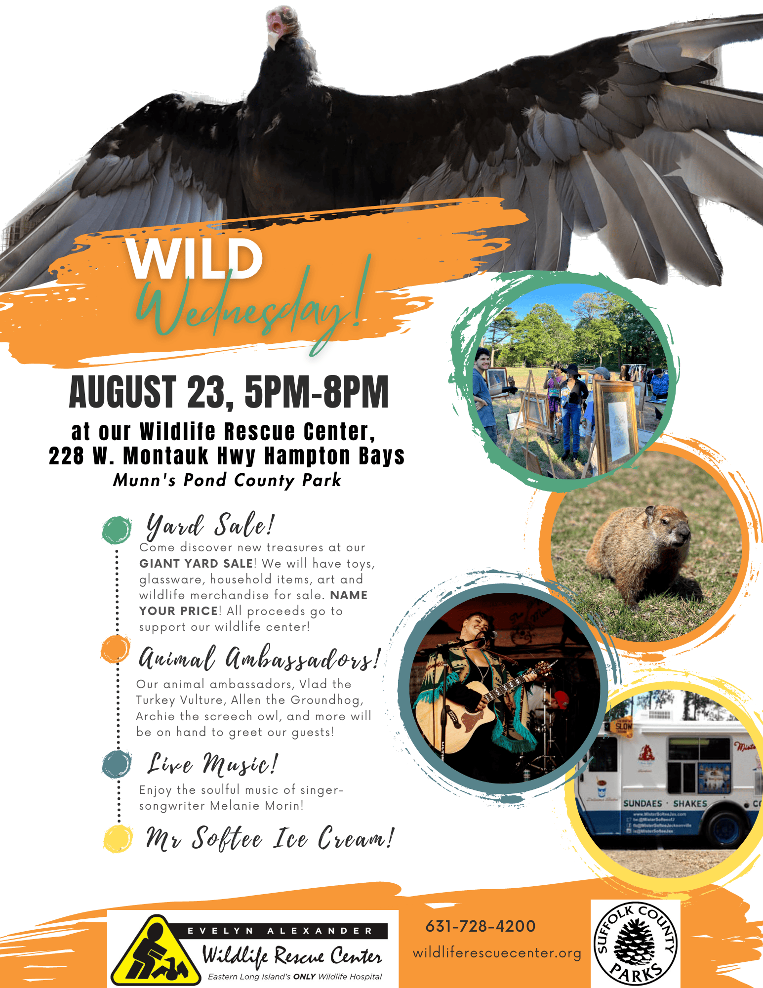 Wild Wednesday Extravaganza!