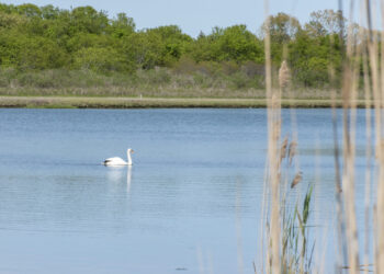 Sixty-Something: The High Life On Easy Street