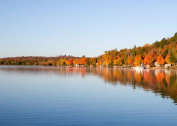 Sixty-Something: Experience the Splendor of Autumn in the Hamptons