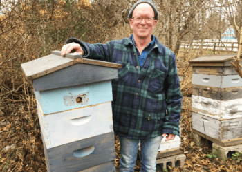 The Secret Life of Honey Bees with Chris Kelly