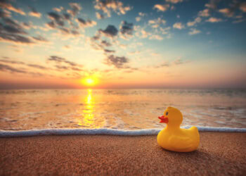 Top Hamptons Events This Weekend – September 8th, 2023