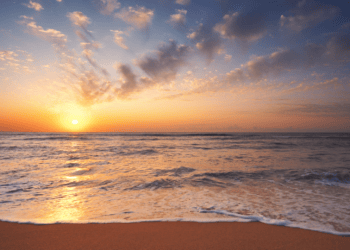 ponquogue beach camera