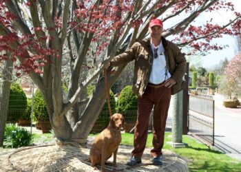 Iconic Marders, More Than a Nursery