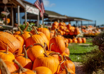 Top Hamptons Events This Weekend – October 20th, 2023