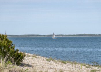 Sixty-Something: Discovering Life’s Answers in the Beauty of The Hamptons