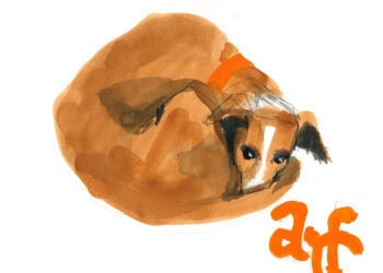 ARF’s 30th Annual ‘Stroll to the Sea’ Dog Walk