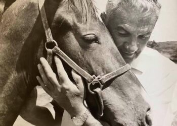 Last Piece of Montauk’s Enchanted Startop Ranch: A Legacy Awaits