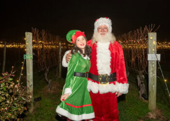 2023 Wölffer Lighting of the Vines, a Magical Evening