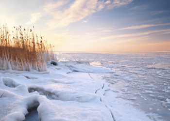 Top Hamptons Events This Weekend – December 15th, 2023