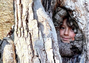 A Journey through the 2024 Student Art Festival, Eco vs. Ego at Guild Hall