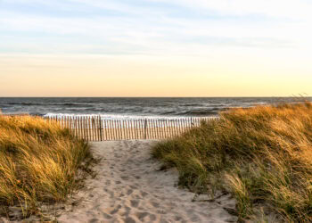 Top Hamptons Events This Weekend – January 12th, 2024