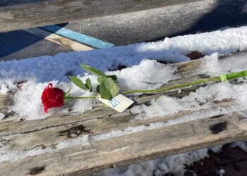 Bay Street Theater Spreads Love with 100 Roses and Free Tickets on Valentine’s Day