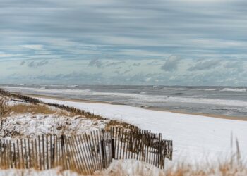 Top Hamptons Events This Weekend – February 16th, 2024