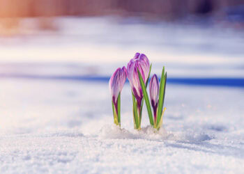 Sixty-Something: The March To The Hamptons