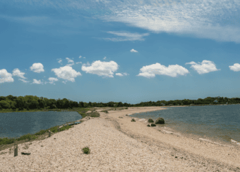 Top Hamptons Events This Weekend – February 9th, 2024