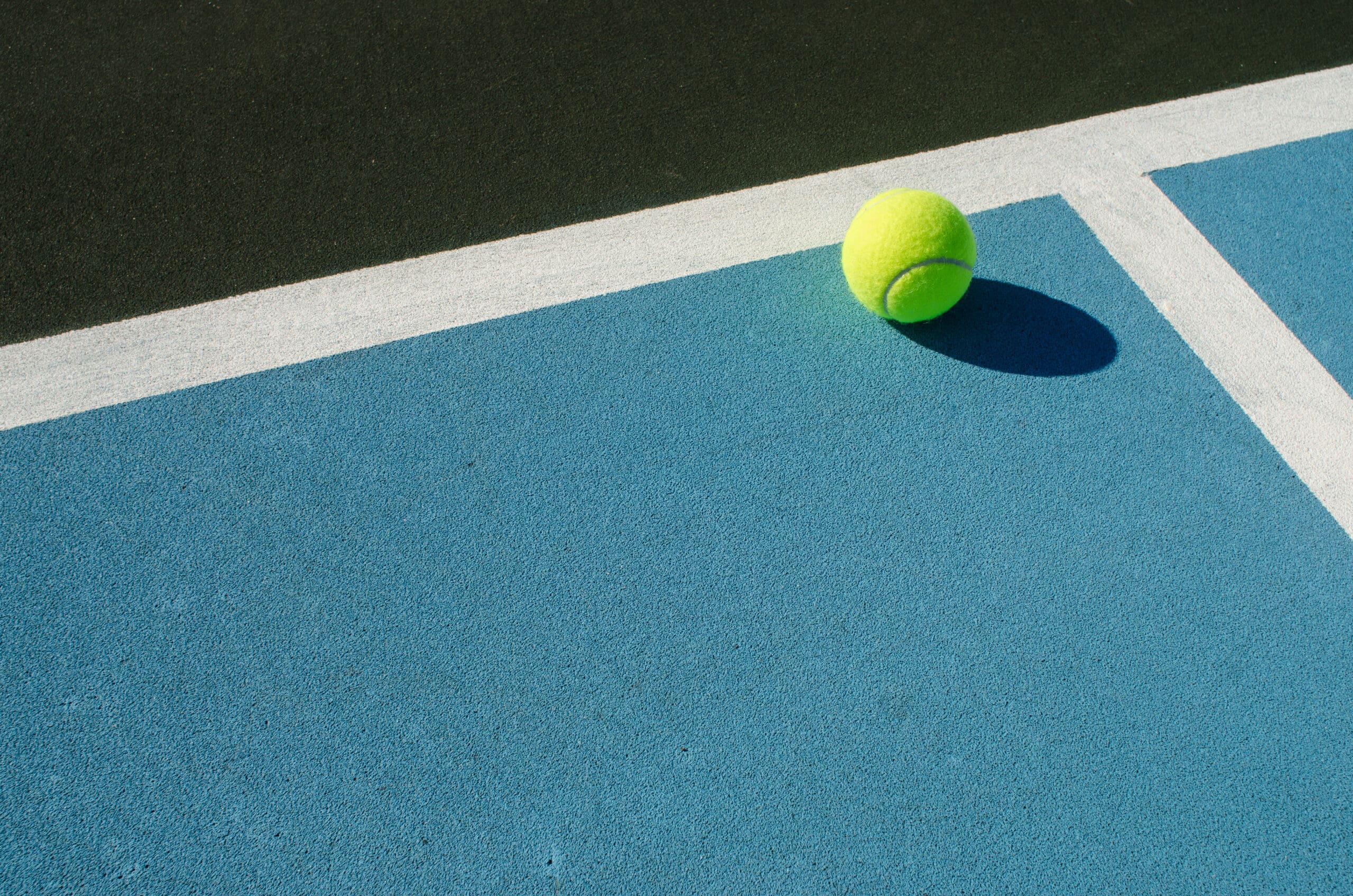 Hofstra Pro-Am Tennis & Pickleball Event in the Hamptons