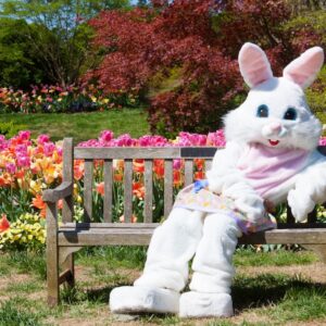 Westhampton Beach Library's Egg Hunt