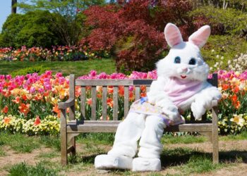 Top Hamptons Events This Weekend – March 29th, 2024