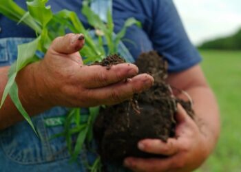 Celebrate Earth Day with Hamptons Doc Fest at Southampton Arts Center