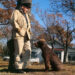New Sag Harbor Statue of John Steinbeck & Poodle, Permanent Residents?