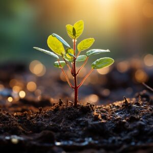Starting Seeds at Quail Hill Farm