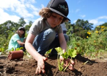 Farm Day, A Fun and Educational Camp in the Hamptons