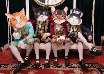 INTERVIEW: Fantastic Cat Talks Their Band, New Album, and The Hamptons