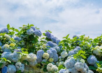 Top Hamptons Events This Weekend: June 7th, 2024