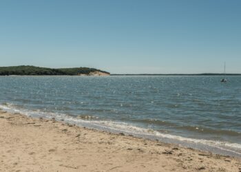 Top Hamptons Events This Weekend: June 28th, 2024