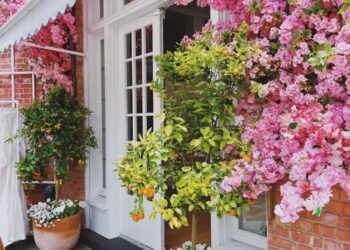 Lucy Cuneo is a Vibrant Destination in Southampton